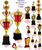 Cricket Ultimate Grand Championship Awards Combo