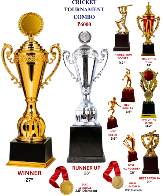 Cricket Ultimate Championship Trophy Combo