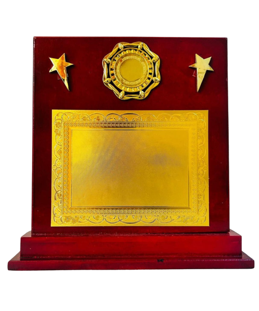 CT524